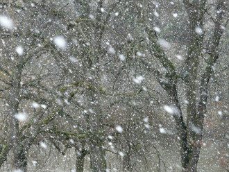 Погода Погода