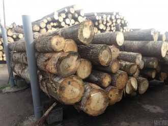 Ліс-кругляк, деревина Ліс-кругляк, деревина