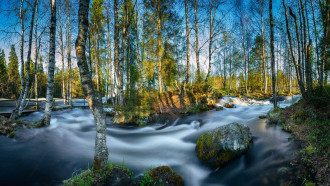 день теплого алексея приметы. Смотреть фото день теплого алексея приметы. Смотреть картинку день теплого алексея приметы. Картинка про день теплого алексея приметы. Фото день теплого алексея приметы