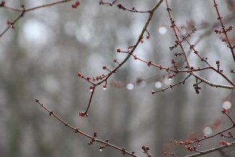 Погода