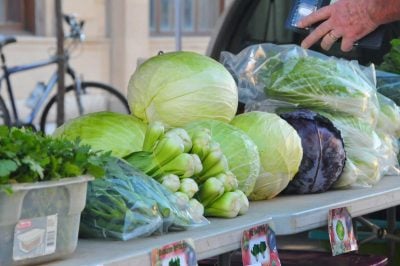 Капуста Капуста