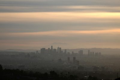 Козерогам запрещено потреблять мясо