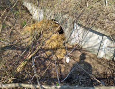 Тіло знайшли у канаві: у Києві викрали та вбили громадського активіста Тіло знайшли у канаві: у Києві викрали та вбили громадського активіста