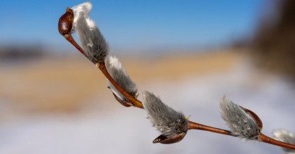 Часть Украины сегодня зальют дожди: где ждать непогоды