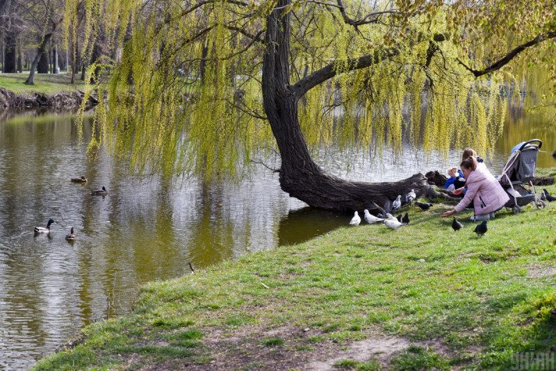 Синоптик попередила про різке похолодання в травні та назвала дати