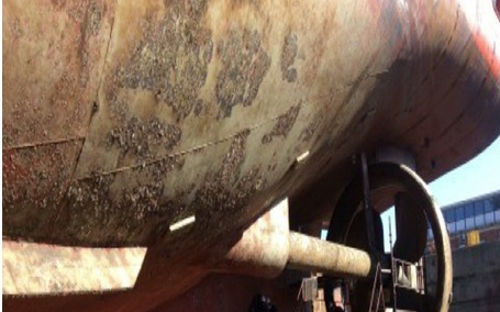 РФ добудовує СП-2 власними силами