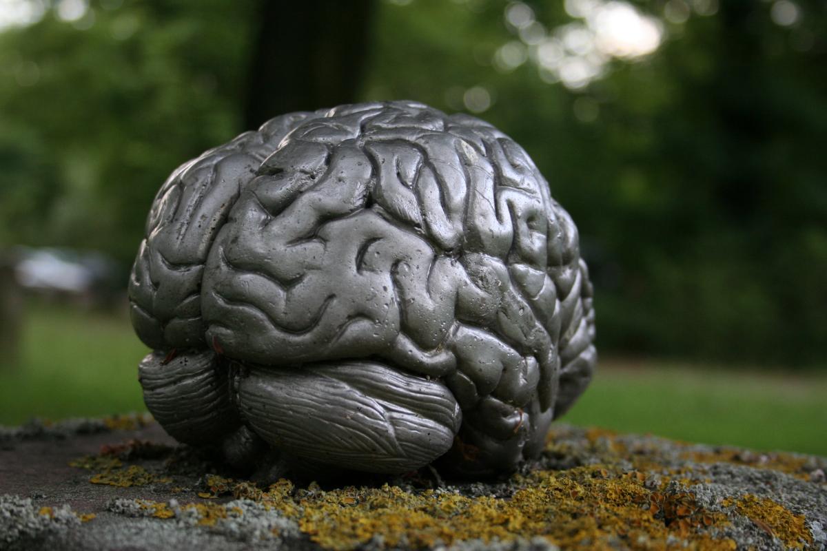 Как понять, что у меня здоровый мозг: три главных характеристики