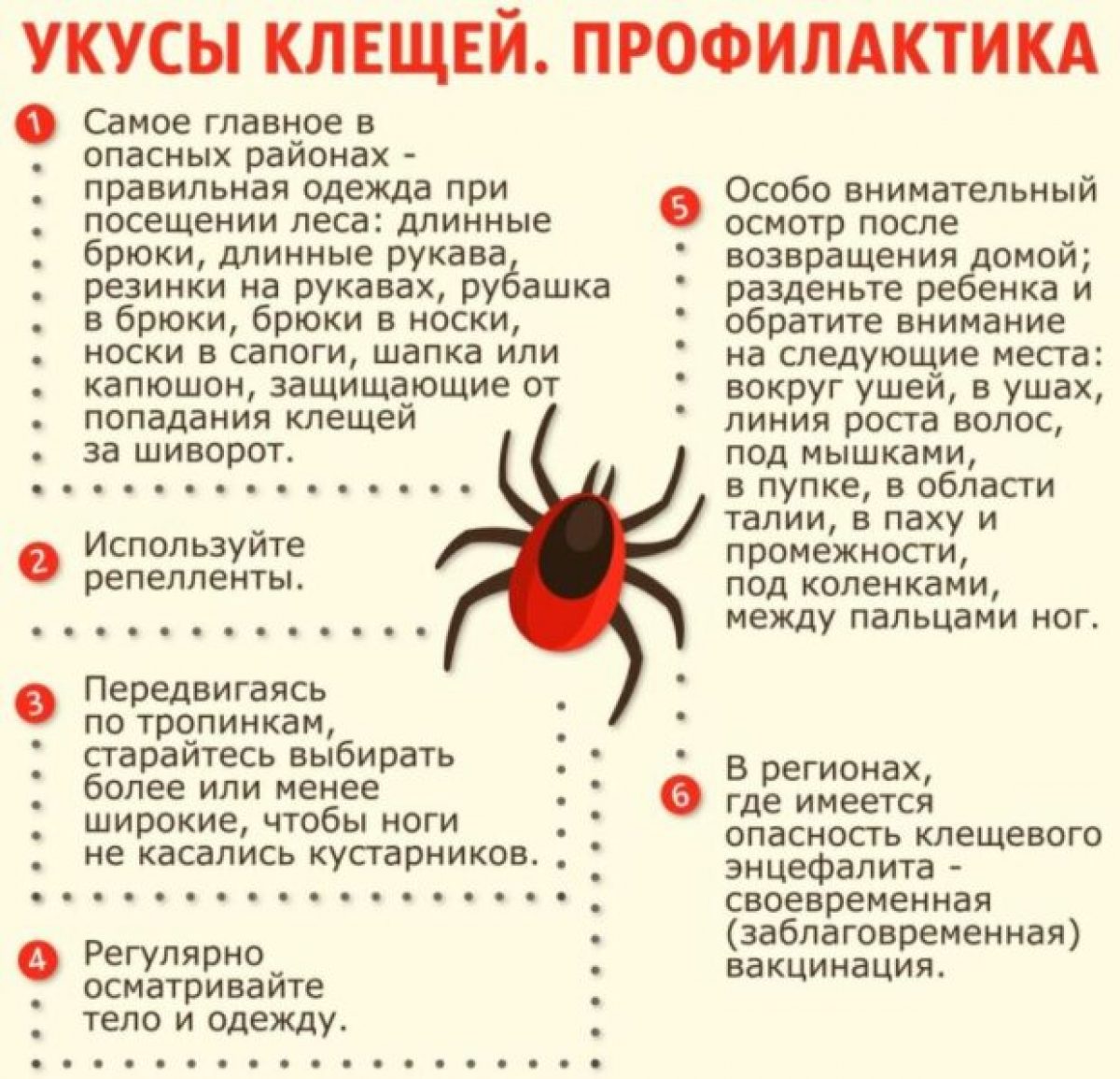 Что пить после клеща. Меры профилактики при укусе клеща. Меры профилактики укуса клеща. Меры профилактики от укуса клеща. Меры профилактики присасывания клеща.