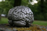 Почему с возрастом ухудшается память, и пять вещей, которые вы можете с этим поделать