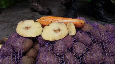 Представник Уряду не виключив розгляд звільнення Халімона на засіданні КМУ