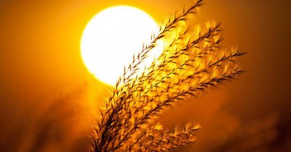 Магнитная буря с 1 июня 2021 ударит по нервам и здоровью: что делать