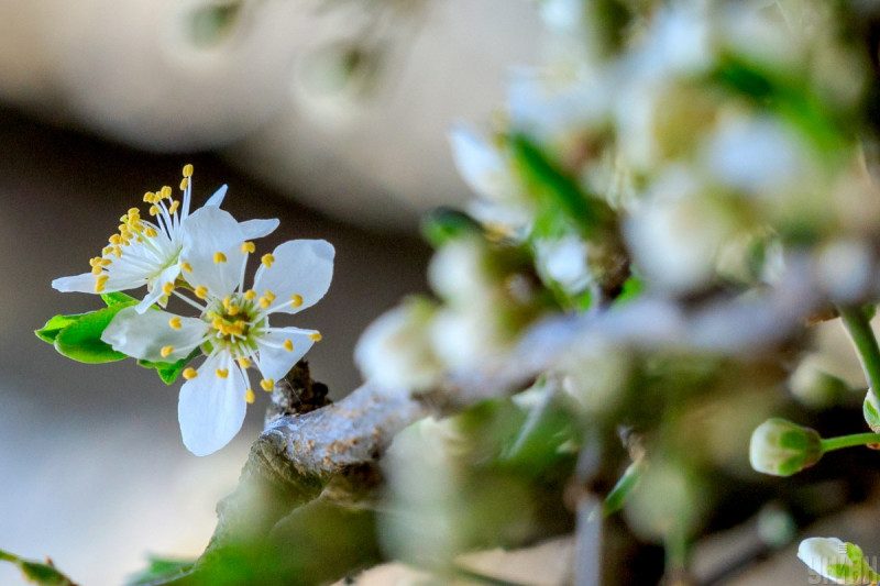 Українців порадували різким потеплінням з температурою до +27 градусів