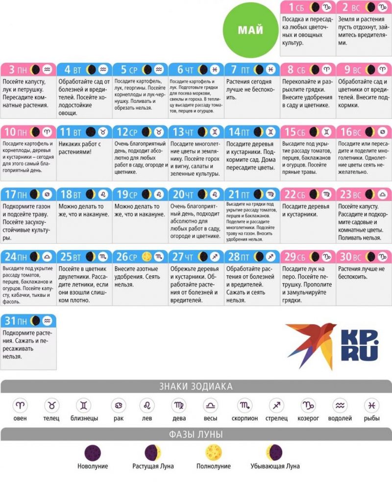 Посевной календарь на май 2021 (Украина): по дням - Главред