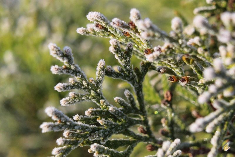 Снег и заморозки посреди апреля: в Украине резко ухудшится погода