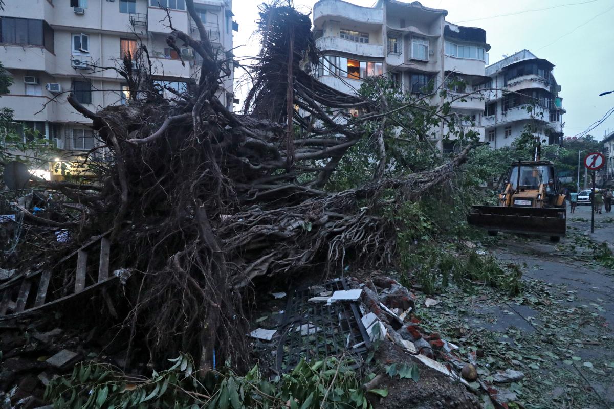 Циклон Тауктае