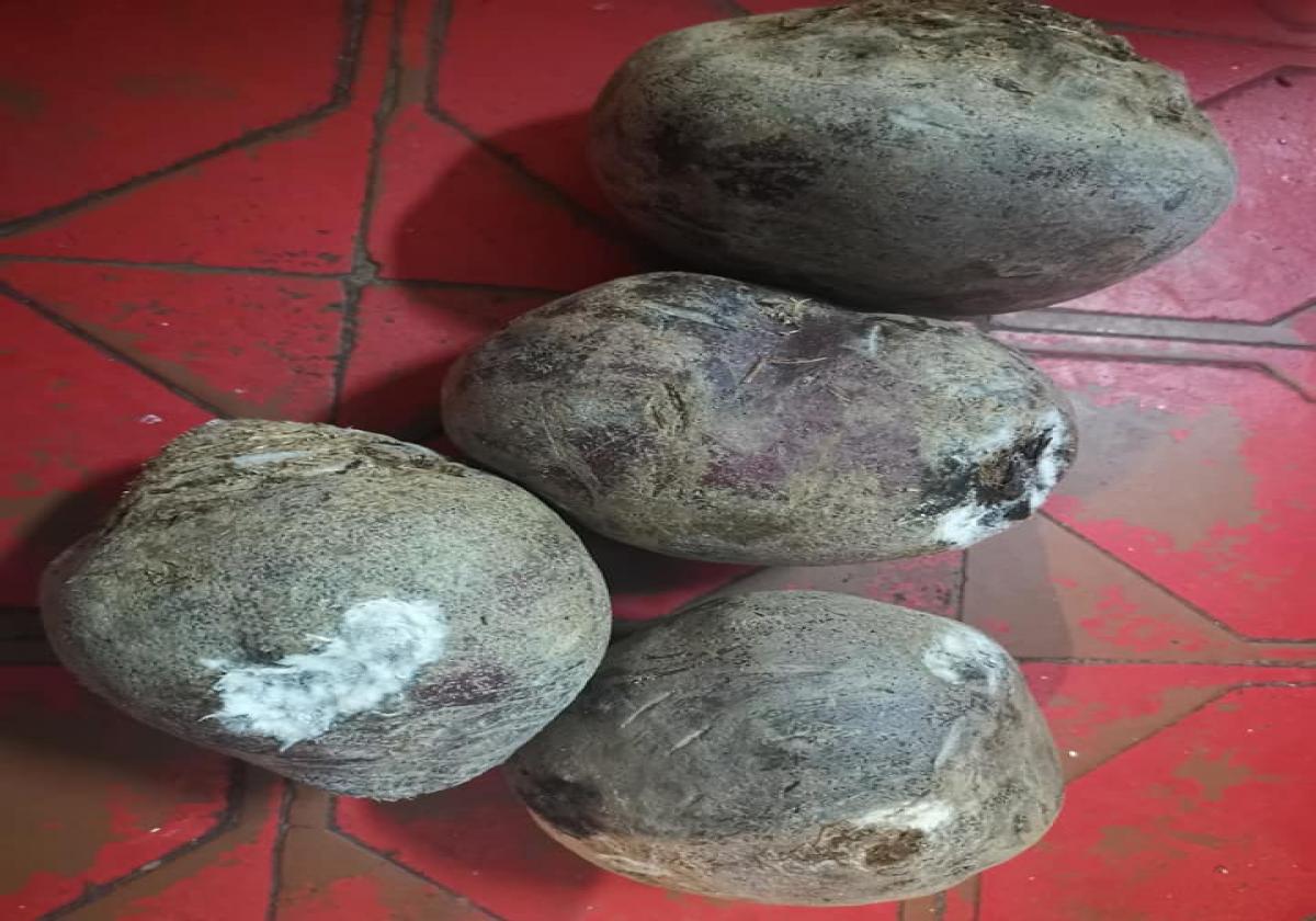 Продукты в садах и школах Николаева