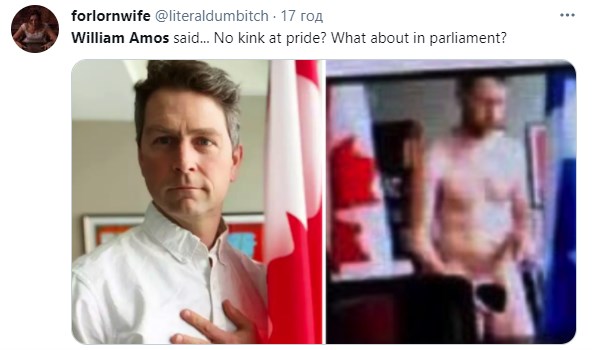 В Канаде голый политик 'сходил по-маленькому' в чашку во время онлайн-заседания парламента