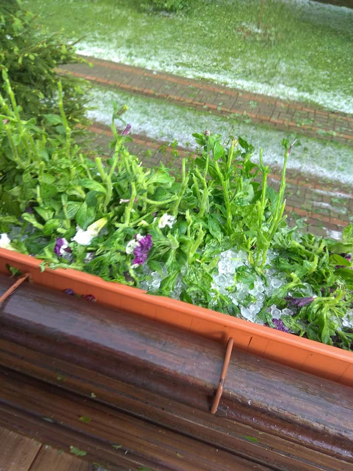 Нардеп поскаржилася на наслідки граду під Києвом