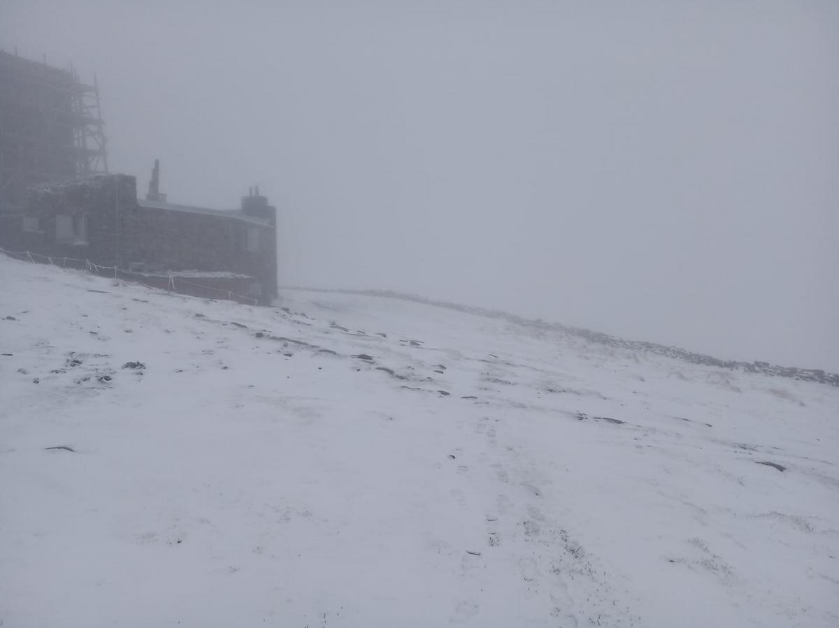 "Глобальное потепление по-украински": за два дня до начала лета в Карпатах выпал снег
