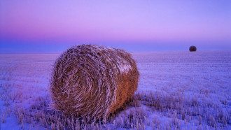 Погода
