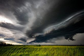 Погода