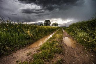 Погода