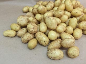 Картопля