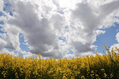 Гороскоп на 7 мая 2021 года для всех: особенности дня, и когда сбудется сон