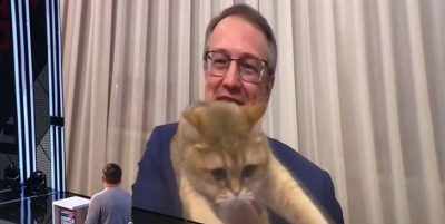 Кот Антона Геращенко вылез в прямой эфир вместе с хозяином