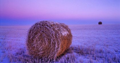 В Украине в июне ударят заморозки - синоптики