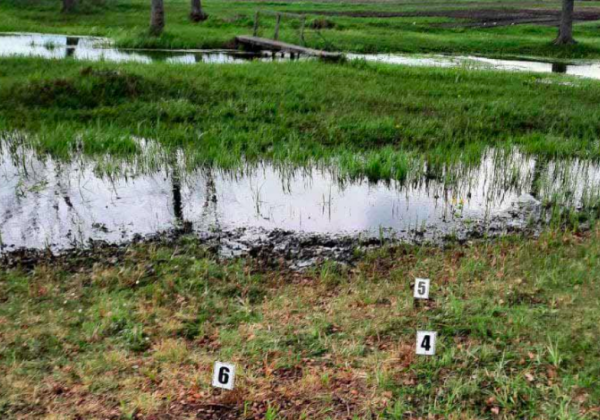 На Рівненщині 18-річний хлопець жорстоко вбив товариша