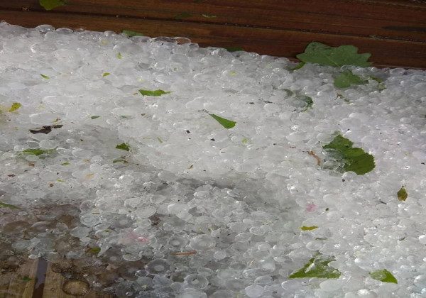 "Такого ще не бачила": нардеп поскаржилася на згубний град під Києвом