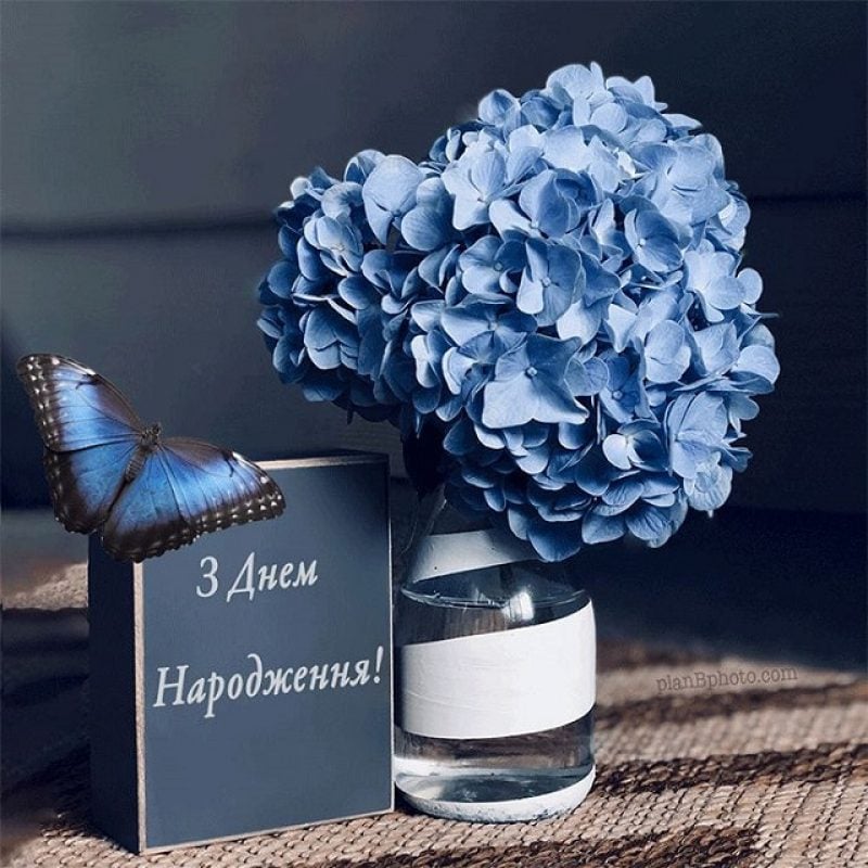 Привітання з днем народження мужчині своїми словами красиві і стильні - яке  сьогодні свято - Главред