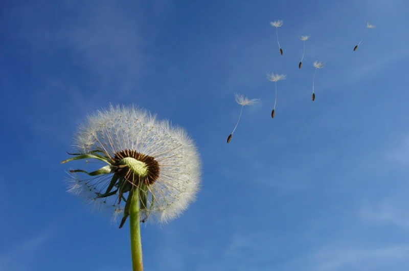 Синоптик попередив українців про шторм: де чекати сьогодні на негоду