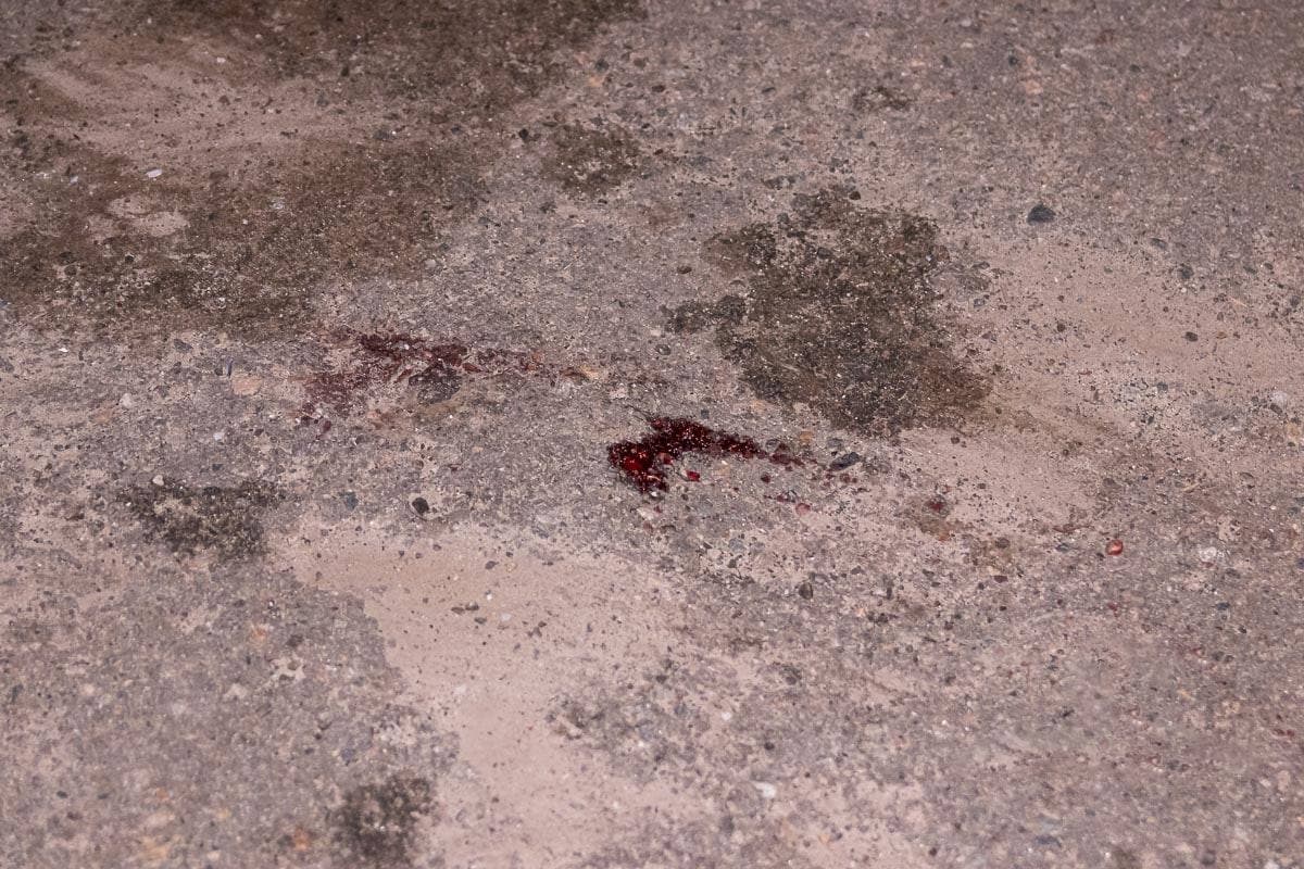 В Днепре пьяный убил сожительницу на глазах у детей: новые детали В Днепре пьяный убил сожительницу на глазах у детей: новые детали