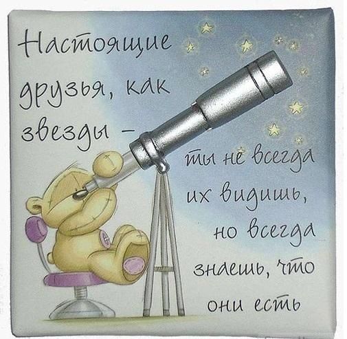 открытки с днем дружбы прикольные открытки с днем дружбы прикольные