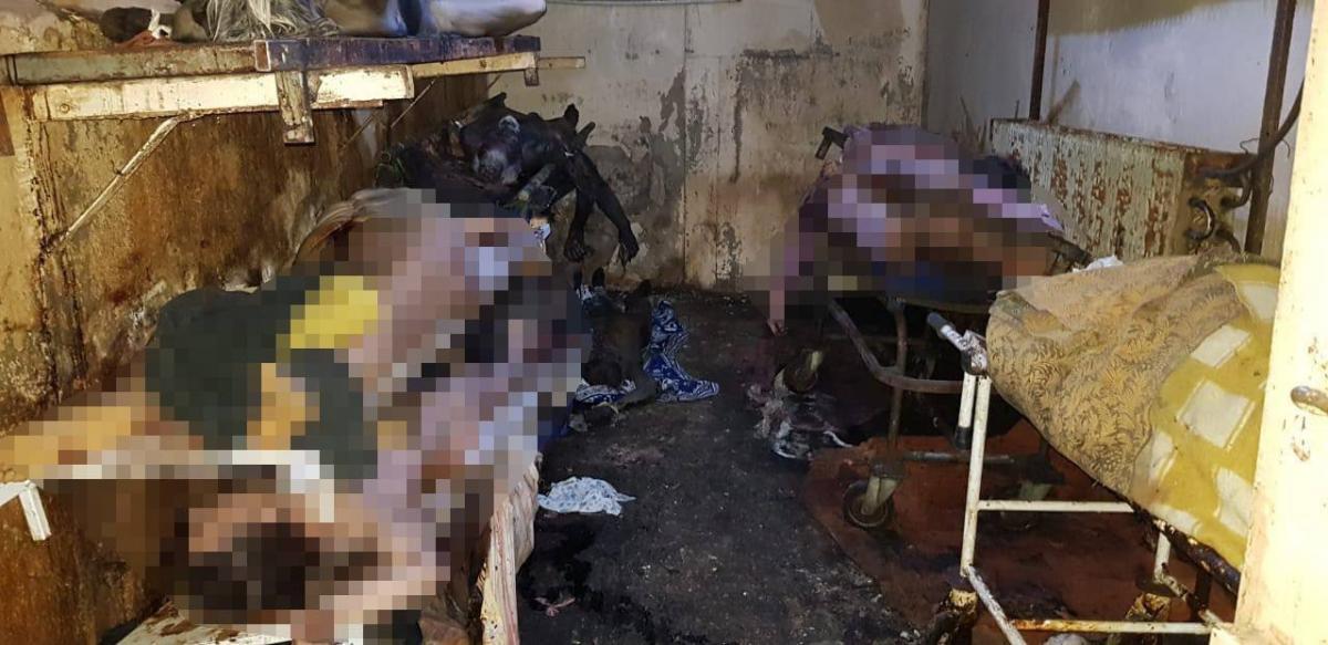 В Харькове в морге антисанитария и тела лежат на полу В Харькове в морге антисанитария и тела лежат на полу