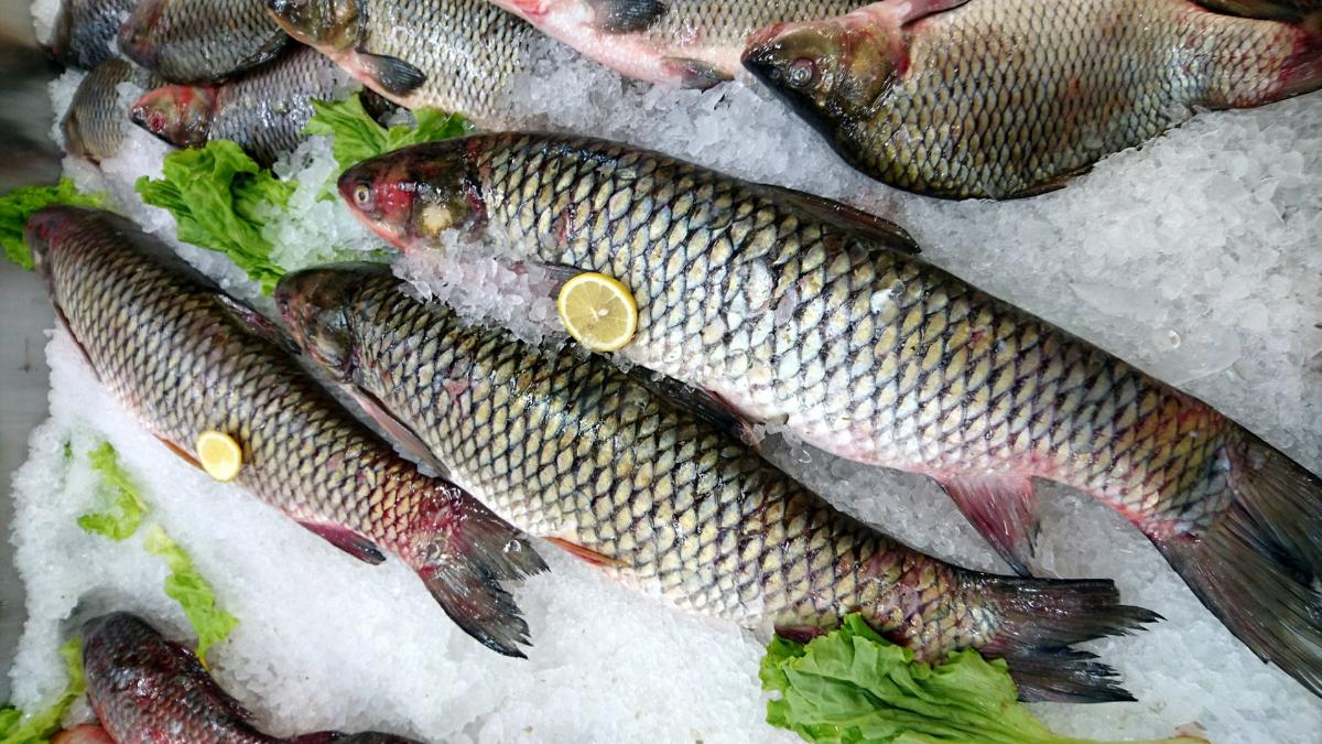 Как в магазине распознать рыбу, которую уже опасно есть