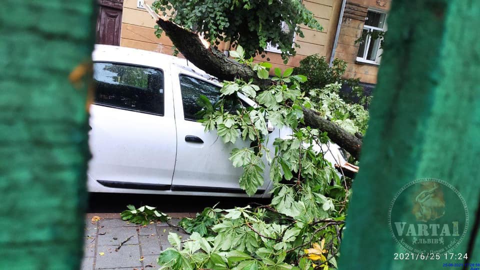 Буря во Львове Буря во Львове