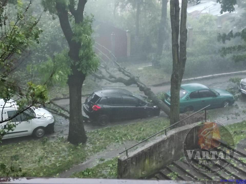 Буря во Львове Буря во Львове