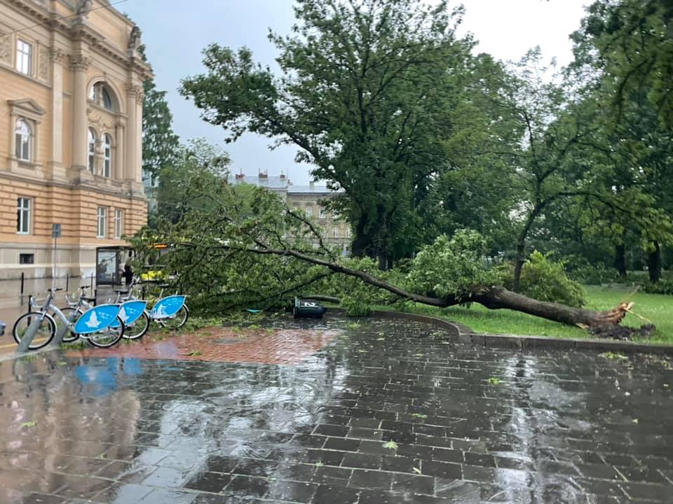 Буря во Львове Буря во Львове