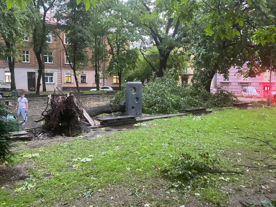 Буря во Львове Буря во Львове