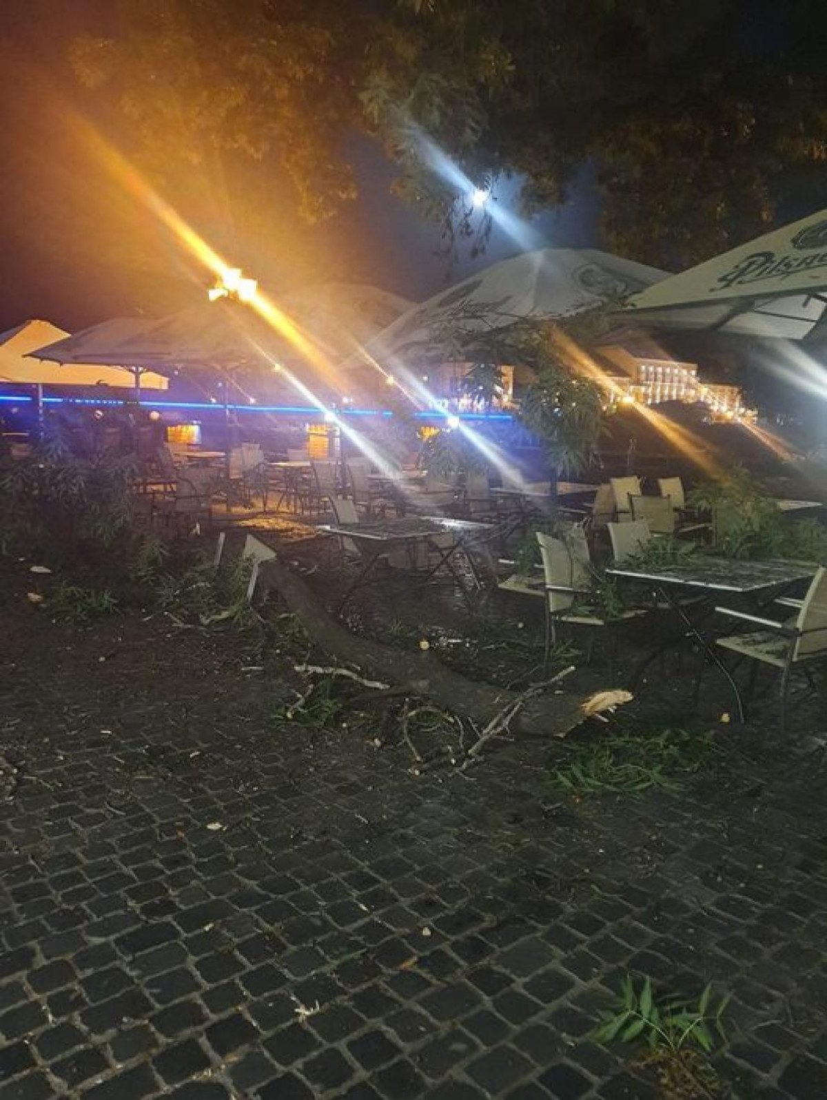 Ничто не предвещало: в Ужгороде на террасу кафе свалилась огромная ветка