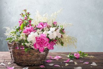 С Днем ангела, София поздравления, открытки, значение имени, когда День Сони