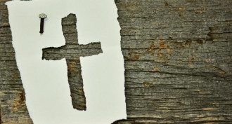 1623261185-6752.jpg