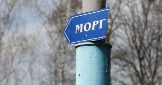 Морг
