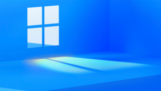 Windows 11