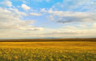 Погода
