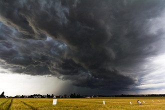 Погода