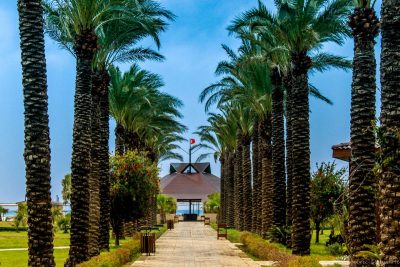 Скоро изменятся правила въезда граждан Украины в Турцию